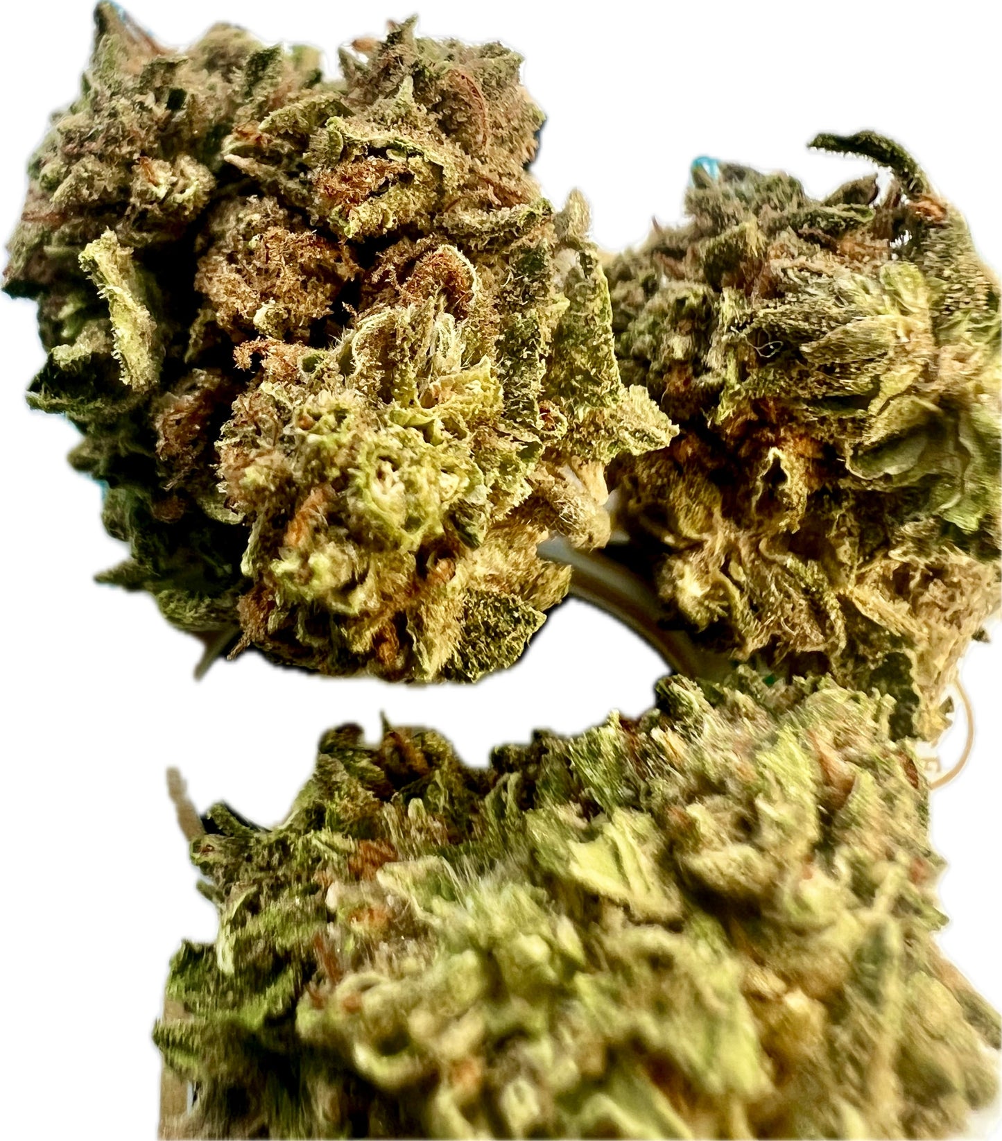 Gelato #33 THCA Hemp Flowers