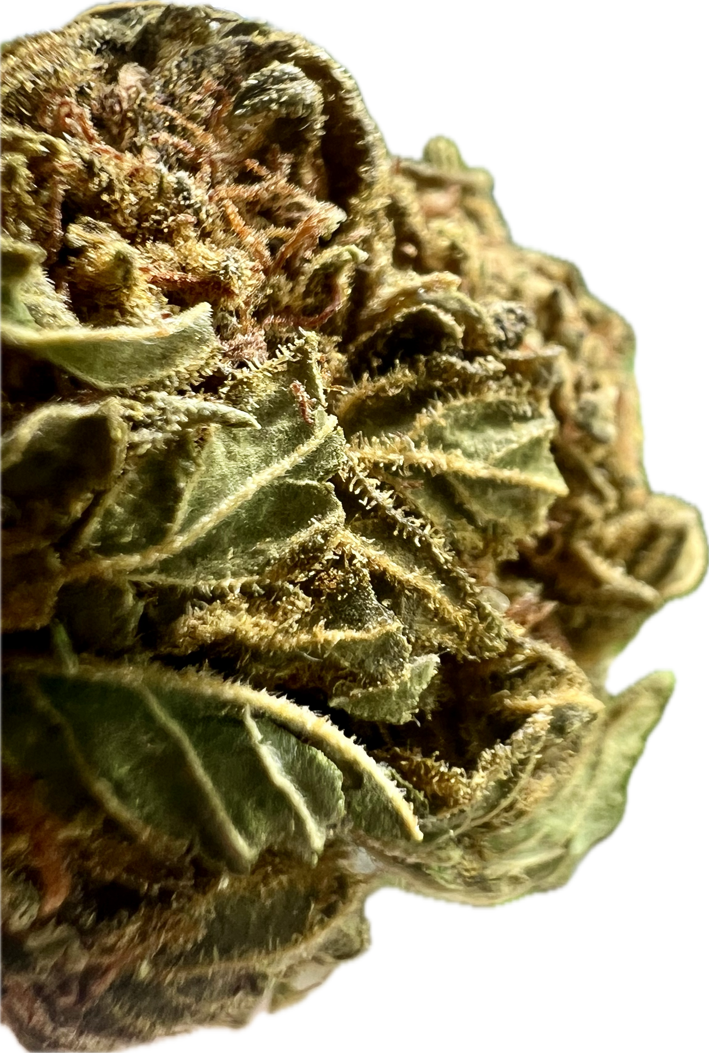 Crack Smuggler THCA Hemp Flowers