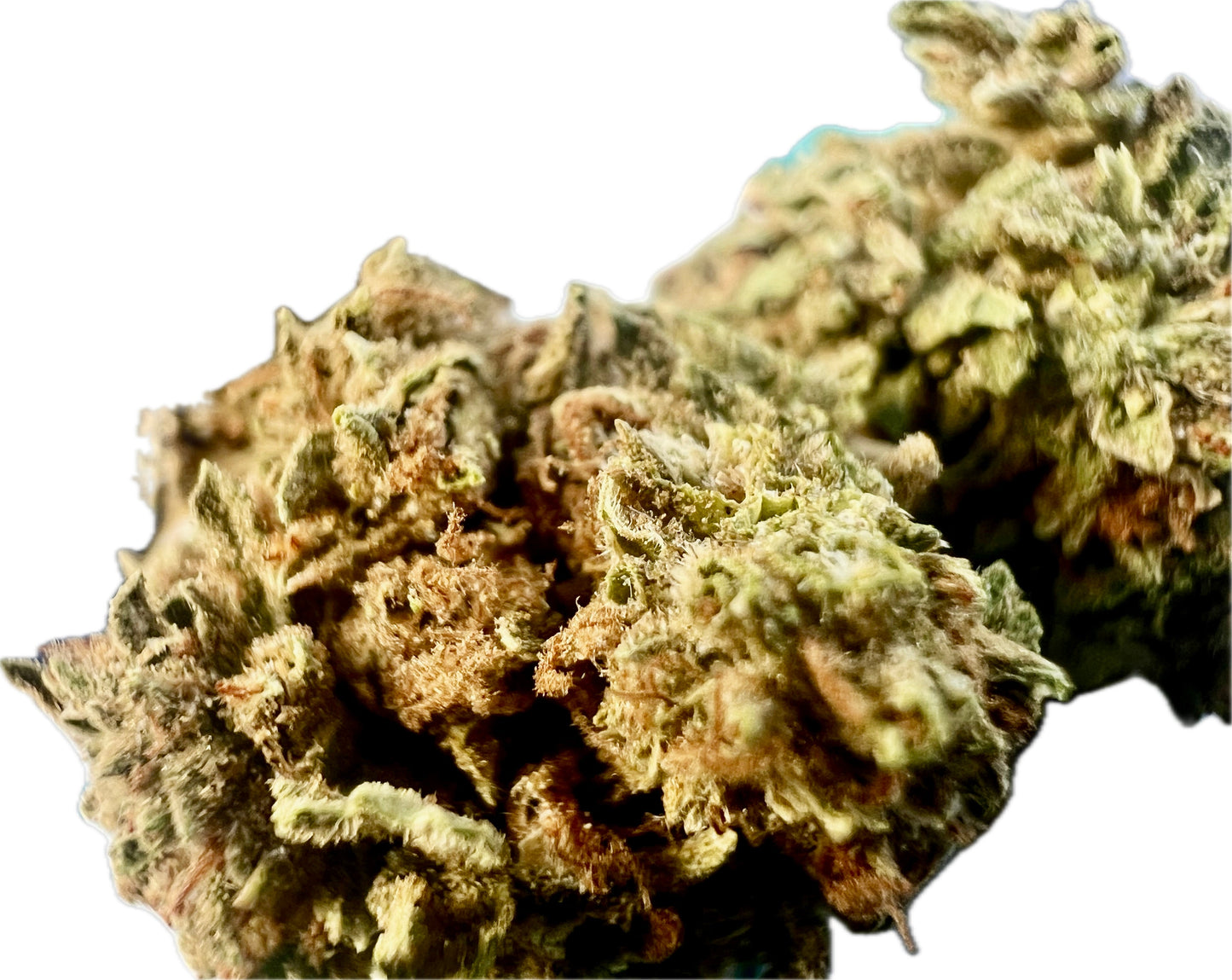 Gelato #33 THCA Hemp Flowers